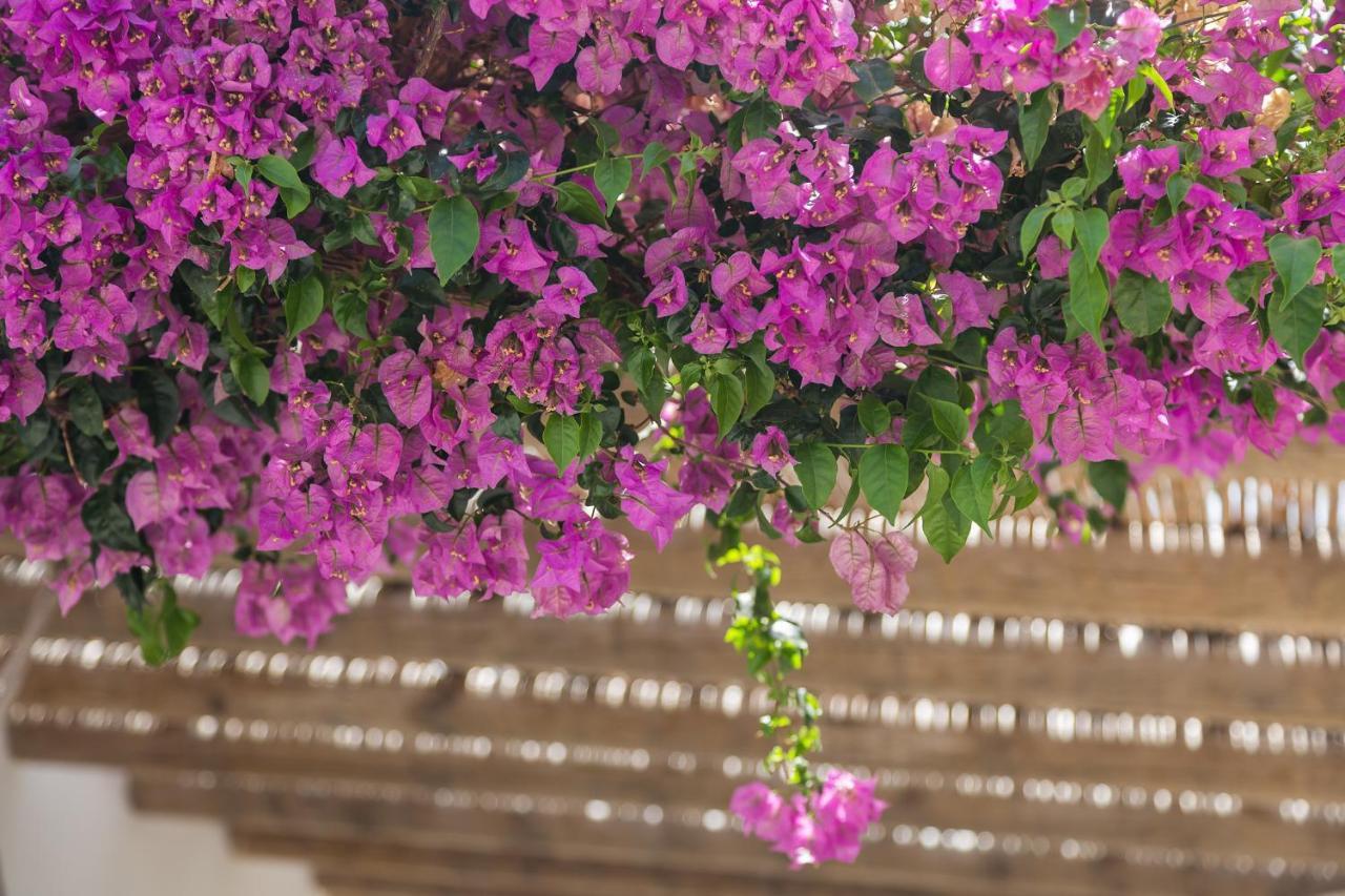 Ca Tauro Villa Denia Bagian luar foto
