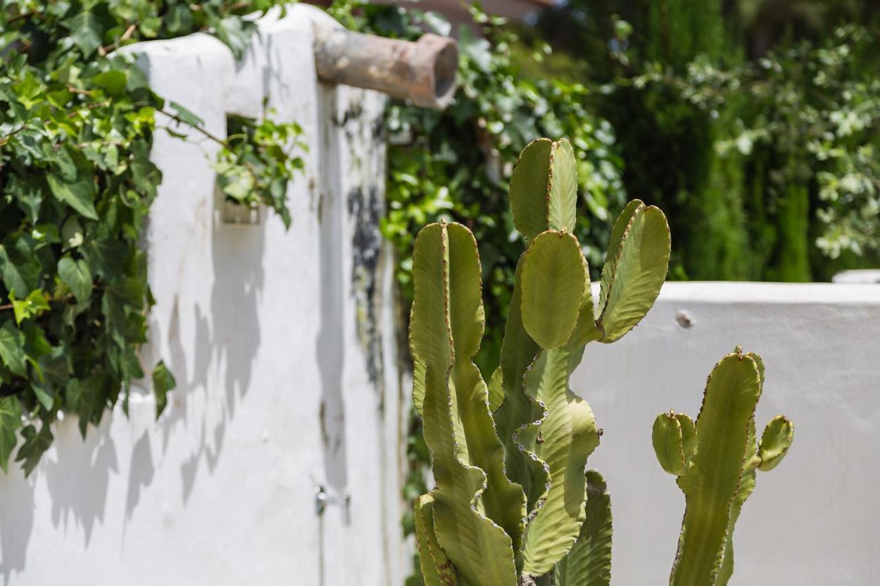 Ca Tauro Villa Denia Bagian luar foto